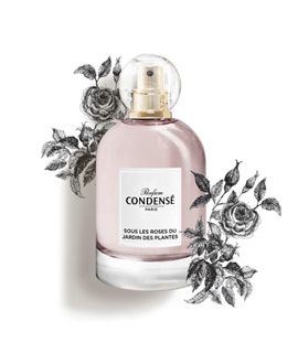 珂蒂丝玫瑰藤下香水——花香型 木质调 “奔赴心动的甜蜜香氛”